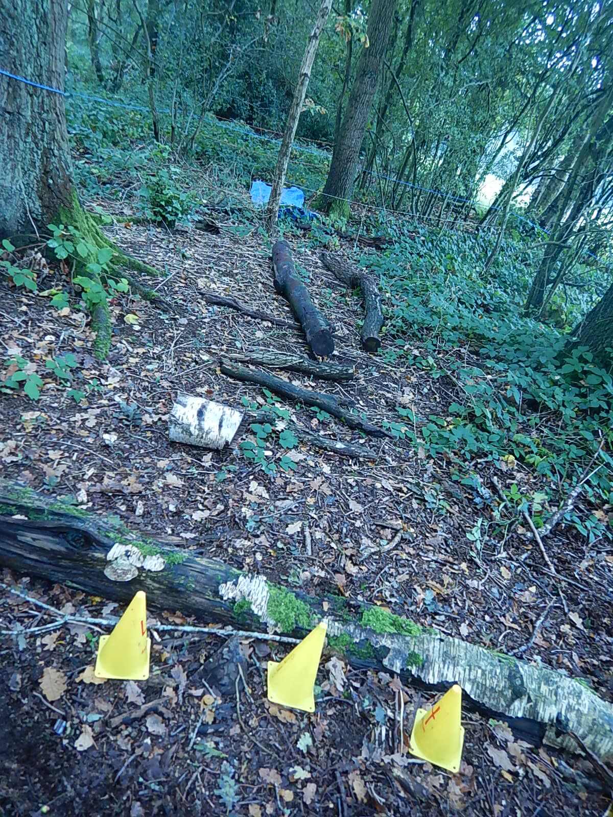 wk4 yr6 blind obstacle course (4) Grace Dieu